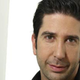 Illustration for article titled David Schwimmer